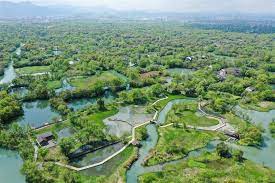 Xixi National Wetland Park 